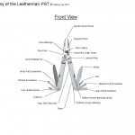 PST Anatomy